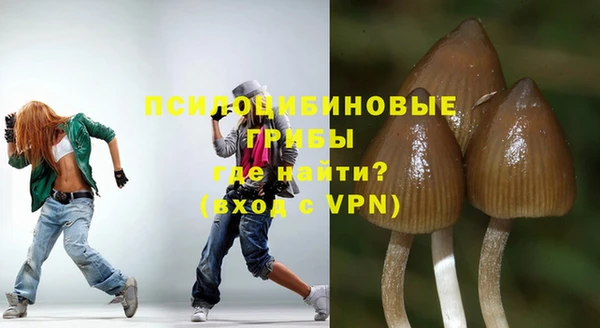 скорость mdpv Богородицк