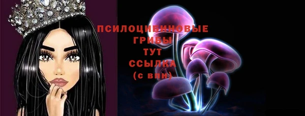 спайс Богородск